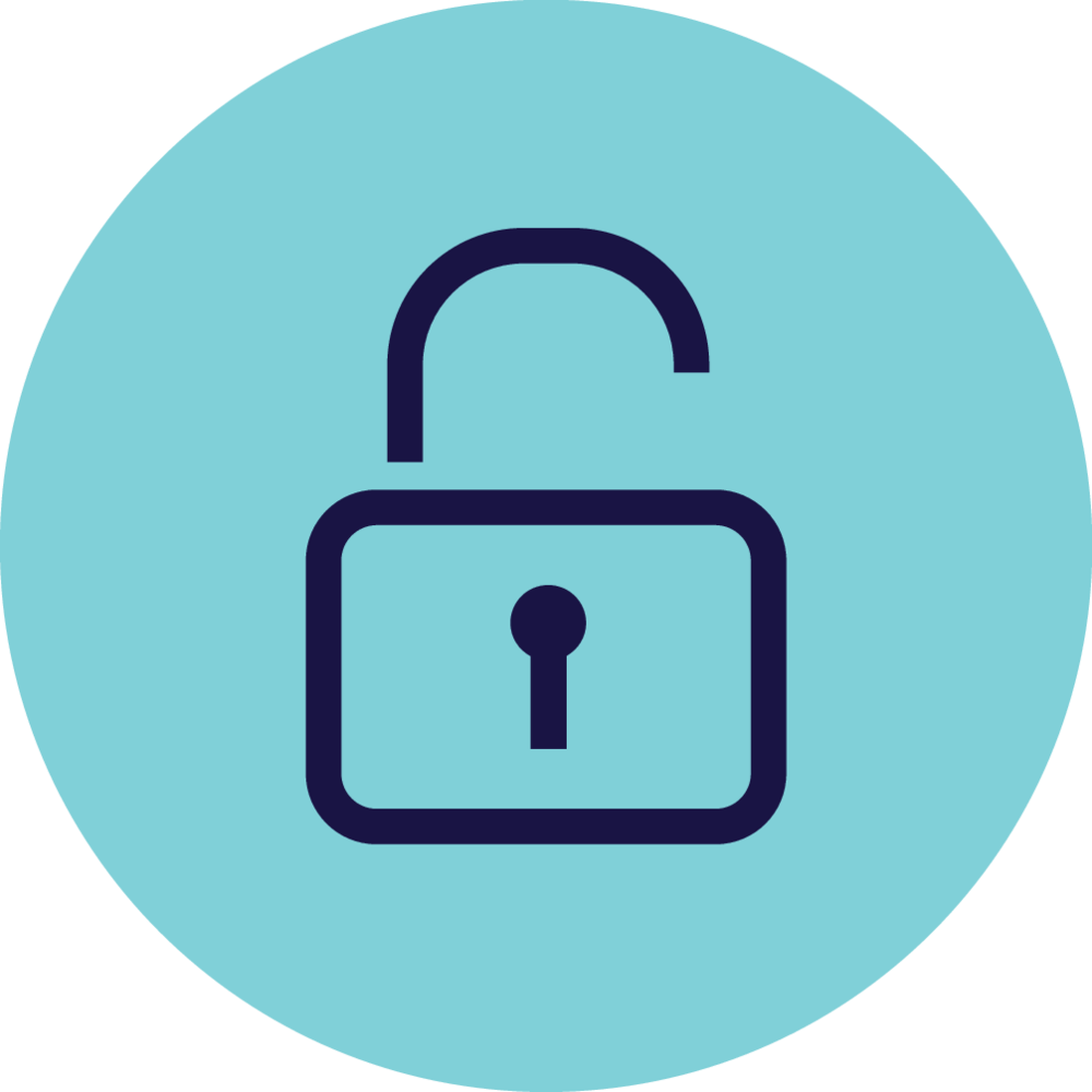 Secure and safe icon